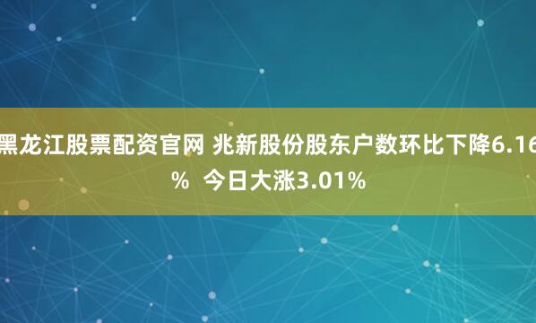 黑龙江股票配资官网 兆新股份股东户数环比下降6.16%  今日大涨3.01%