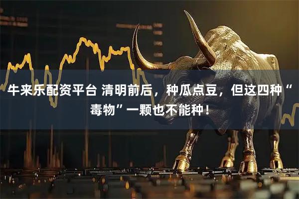 牛来乐配资平台 清明前后,种瓜点豆,但这四种“毒物”一颗也不能种!