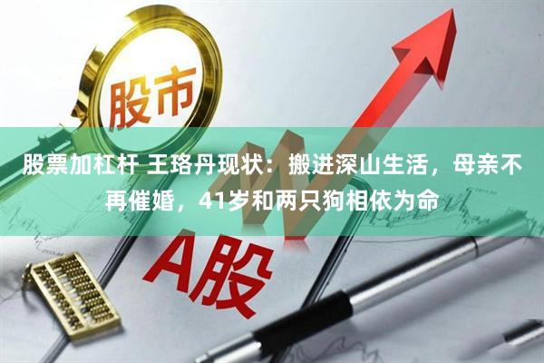股票加杠杆 王珞丹现状：搬进深山生活，母亲不再催婚，41岁和两只狗相依为命
