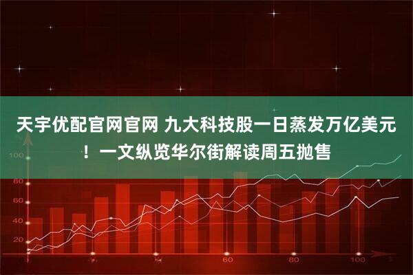 天宇优配官网官网 九大科技股一日蒸发万亿美元！一文纵览华尔街解读周五抛售
